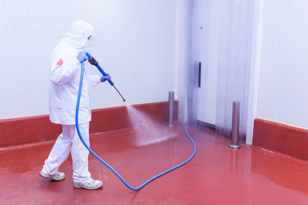 Best Driveway Pressure Washing  in Tupelo, MS